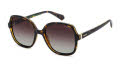 Polaroid PLD 4177/S/X Havana / Brown Shaded (0086/LA) Sunglasses - Color Image