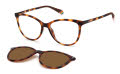 Polaroid Pld 6138/CS Dark Havana / Bronze Pz Polarized (0086/SP) Sunglasses - Color Image