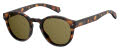 Polaroid Pld 6042/S Dark Havana / bronze pz polarized (0086/SP) Sunglasses - Color Image