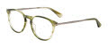 Police VPLU63 Shiny Striped Green (01Fj) Eyeglasses - Color Image