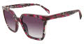Police SPLD33 Burgundy (0XAY) Sunglasses - Color Image