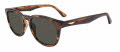 Police SPLP22 Shiny Striped Brown (0836) Sunglasses - Color Image