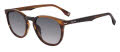Police SPLQ82 Stripe Brown Honey Havana (07LC) Sunglasses - Color Image