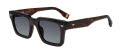 Police SPLQ88 Shiny Dark Havana (0722) Sunglasses - Color Image