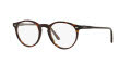 Polo PH2083 Shiny Dark Havana (5003) Eyeglasses - Color Image