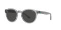 Polo PH4192 Shiny Transparent Grey / Dark Grey (541387) Sunglasses - Color Image