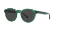 Polo PH4192 Shiny Transparent Green / Dark Grey (608487) Sunglasses - Color Image