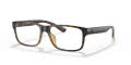 Polo PH2237U Shiny Havana (5003) Eyeglasses - Color Image