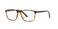 Polo PH2245U Shiny-Havana (5003) Eyeglasses - Color Image