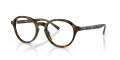 Polo PH2251U Shiny Jerry Havana (5017) Eyeglasses - Color Image