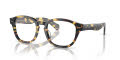 Polo PH2261U Shiny Milky Yellow Havana (6083) Eyeglasses - Color Image