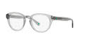 Polo PH2262 Shiny Transparent Grey (5965) Eyeglasses - Color Image