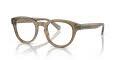 Polo PH2262 Shiny Transparent Light Brown (6085) Eyeglasses - Color Image