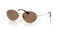 Polo PH3162 Shiny Pale Gold/Dark Brown (928673) Sunglasses - Color Image