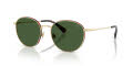 Polo PH3163 Shiny Pale Gold/Bottle Green (928671) Sunglasses - Color Image