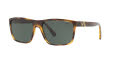Polo PH4133 Shiny Transparent Dark Havana / Green (500371) Sunglasses - Color Image