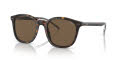 Polo PH4188F Shiny Dark Havana/Brown (500373) Sunglasses - Color Image