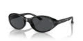 Polo PH4197U Matte Black / Grey (500187) Sunglasses - Color Image
