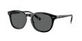 Polo PH4206 Shiny-Black / Dark-Grey (500187) Sunglasses - Color Image