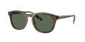 Polo PH4206 Shiny-Brown-Tortoise / Bottle-Green (501771) Sunglasses - Color Image