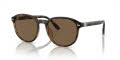 Polo PH4207U Shiny Havana/Brown (597473) Sunglasses - Color Image