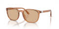 Polo PH4208U Shiny Transparent Brown/Light Brown (604873) Sunglasses - Color Image