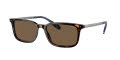Polo PH4212 Shiny Dark Havana / Brown (500373) Sunglasses - Color Image