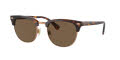 Polo PH4217 Shiny Brown Tortoise / Brown (613773) Sunglasses - Color Image