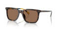 Polo PH4224U Shiny-Dark-Havana/Dark-Brown (500373) Sunglasses - Color Image