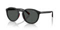Polo PH4232U Matte Black/Dark Grey (550487) Sunglasses - Color Image