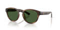 Polo PH4233U Shiny Dark Havana/Bottle Green (607071) Sunglasses - Color Image