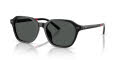 Polo PH4234U Shiny Black/Dark Grey (500187) Sunglasses - Color Image