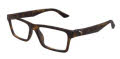 Puma PU0487O Havana-Havana (002) Eyeglasses - Color Image