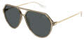 Puma PU0459S Beige / Grey Lens (004) Sunglasses - Color Image