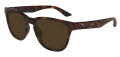 Puma PU0506S Havana / Brown Lens (002) Sunglasses - Color Image