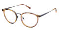 RACHEL by Rachel Roy Splendid Honey Eyeglasses - Color Image