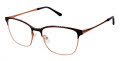 RACHEL by Rachel Roy Connected Sable Eyeglasses - Color Image