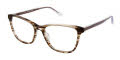 RACHEL by Rachel Roy Tranquil Latte Eyeglasses - Color Image