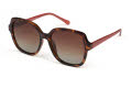 Radley RDS-6505 Tortoise/ Papaya Orange (102P) Sunglasses - Color Image