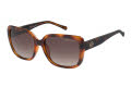 Radley RDS-6517 Dark Oak Tort (102) Sunglasses - Color Image