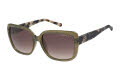 Radley RDS-6517 Khaki and Pale Tort (109) Sunglasses - Color Image
