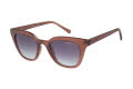 Radley RDS-6527 Copper Pink (151) Sunglasses - Color Image
