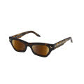 Revo LYNX (RE 6003) LYNX Tortoise Terra (RE 6003 02 BR) Sunglasses - Color Image