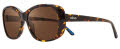 Revo Sammy RE1102 Tortoise frame with Terra Lens (RE 1102 02 BR) Sunglasses - Color Image