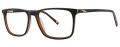 Randy Jackson RJ 3060 Black/Brown (219) Eyeglasses - Color Image