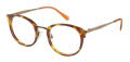 Radley RDO-6015 Gloss Tortoise Orange (102) Eyeglasses - Color Image