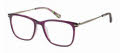 Radley RDO-6016 Gloss crystal purple silver (161) Eyeglasses - Color Image