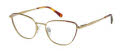 Radley RDO-6019 Matte Gold Brown (001) Eyeglasses - Color Image