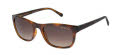 Radley RDS-6526 Dark Oak Tort (102) Sunglasses - Color Image