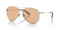 Ralph Lauren RL7077 Shiny Pale Gold/Dark Brown (9316/3) Sunglasses - Color Image